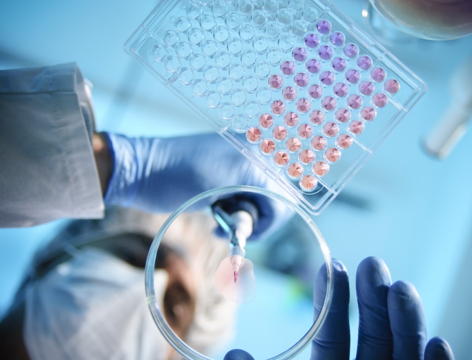 A scientist using a pipette with a microtiter plate and a petri dish