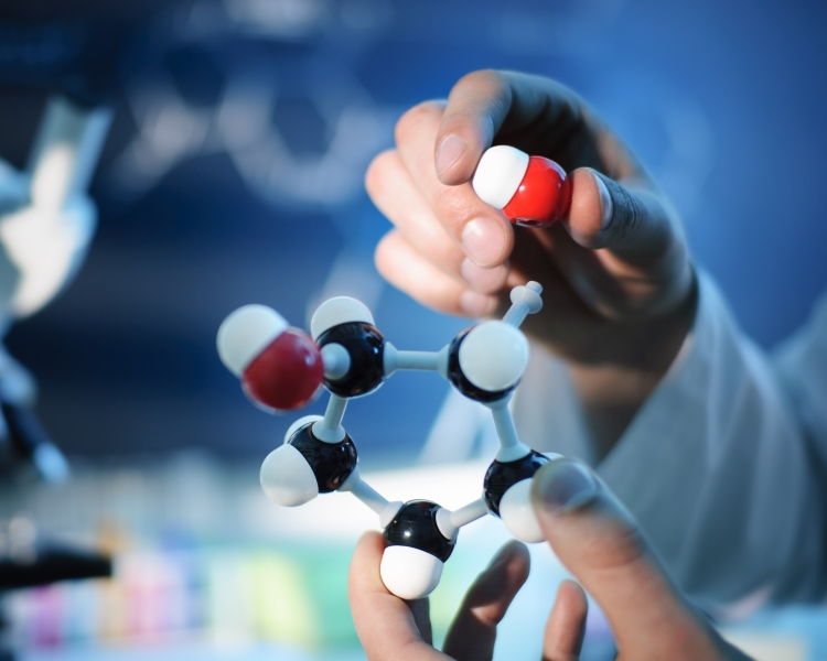 Molecular structure. Credit: Nicolas Loran