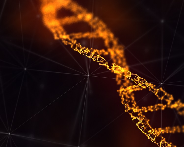DNA molecule