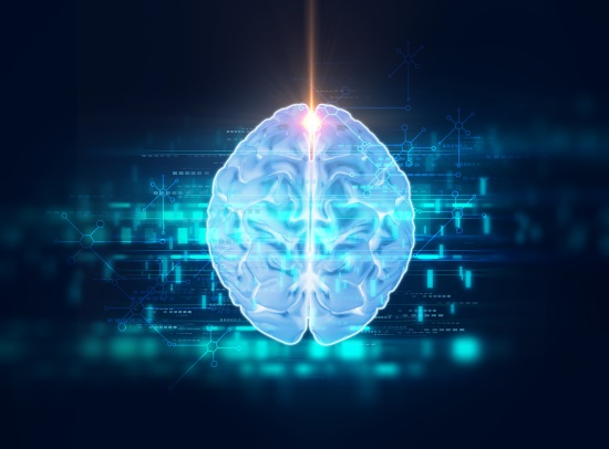 3d rendering of human brain on technology background represent artificial intelligence and cyber space concept