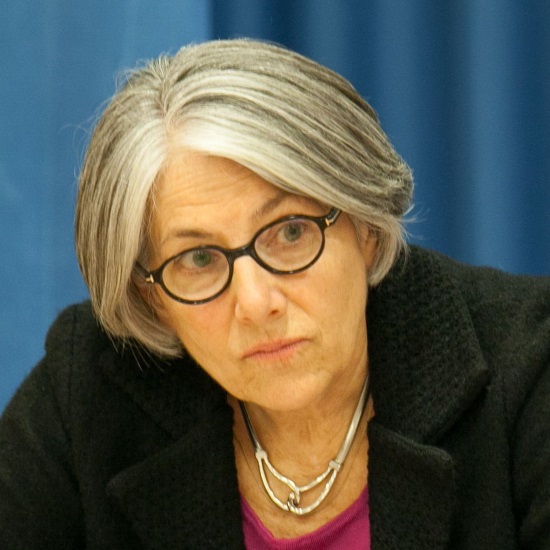 GEO Director Barbara Ryan Briefs the Media