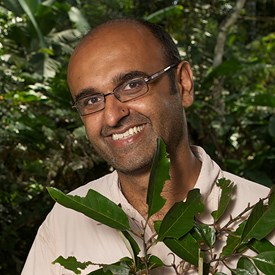 Professor Yadvinder Malhi FRS