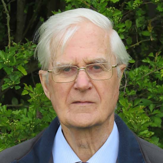 Dr John Bingham CBE FRS