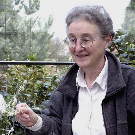 Deborah Charlesworth