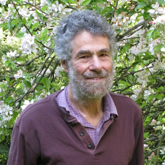 Professor Thomas Collett