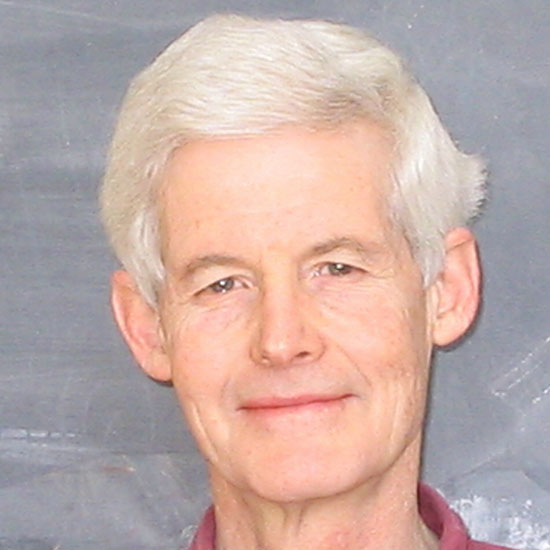 Professor Stephen Cook FRS