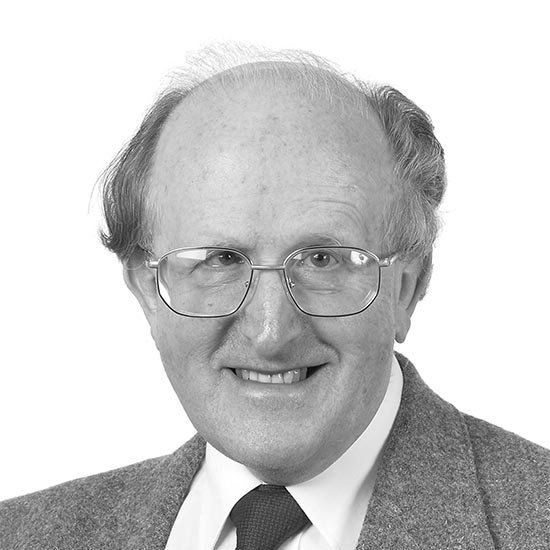 Professor John Ellis FRS