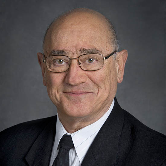 Professor Alexander Pines ForMemRS