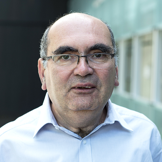Professor Sandu Popescu FRS