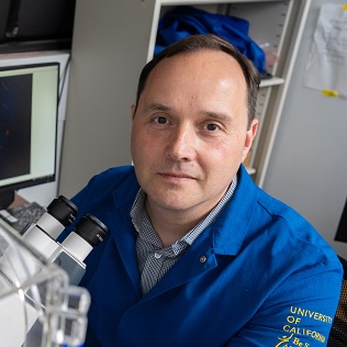 Professor Neil Hunter FRS