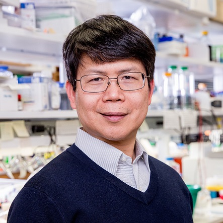 Professor Zhijian 'James' Chen ForMemRS