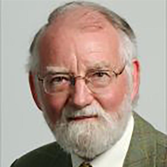 Professor David Sherrington FRS