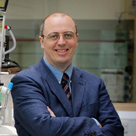 Professor David Leigh FRS