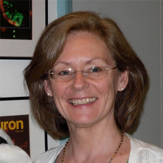 Professor Christine Holt FMedSci FRS