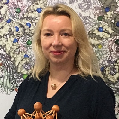 Professor Reidun Twarock FRS