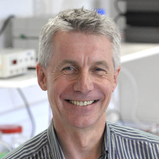 Professor Steve Brown FMedSci FRS