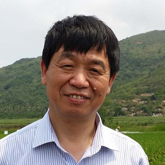 Professor Jiayang Li ForMemRS